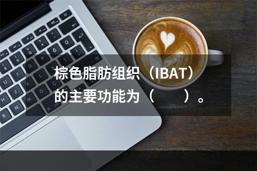 棕色脂肪组织（IBAT）的主要功能为（　　）。