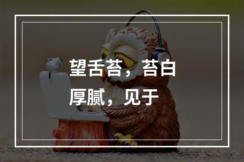 望舌苔，苔白厚腻，见于