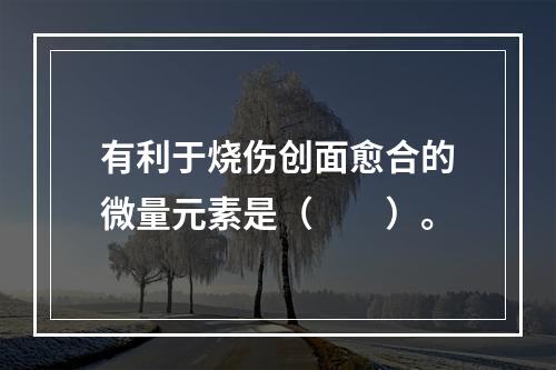 有利于烧伤创面愈合的微量元素是（　　）。