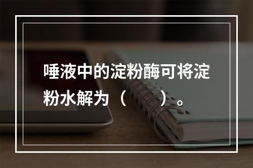 唾液中的淀粉酶可将淀粉水解为（　　）。