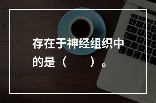 存在于神经组织中的是（　　）。