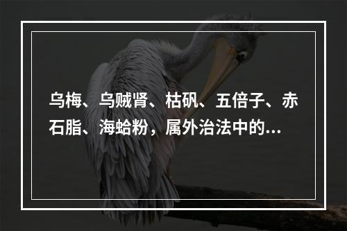 乌梅、乌贼肾、枯矾、五倍子、赤石脂、海蛤粉，属外治法中的(