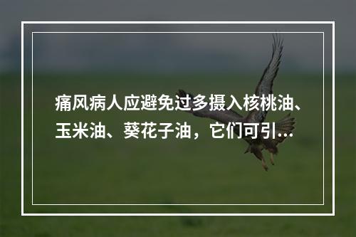 痛风病人应避免过多摄入核桃油、玉米油、葵花子油，它们可引起