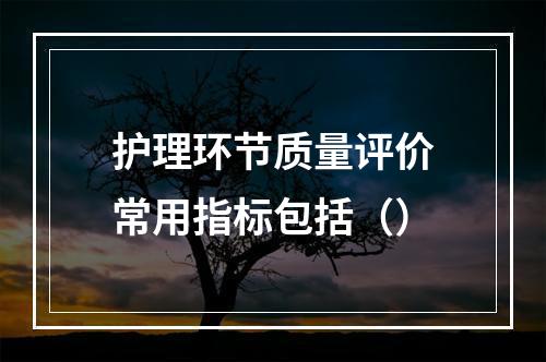 护理环节质量评价常用指标包括（）