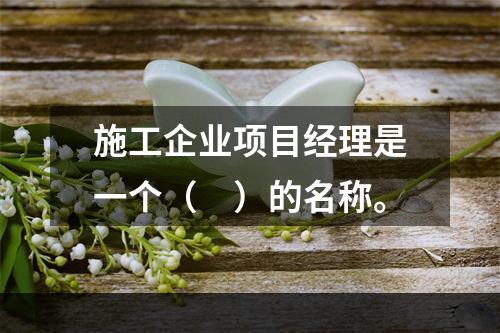 施工企业项目经理是一个（　）的名称。