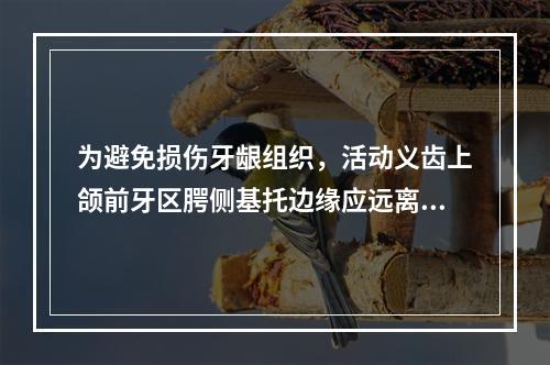 为避免损伤牙龈组织，活动义齿上颌前牙区腭侧基托边缘应远离龈缘