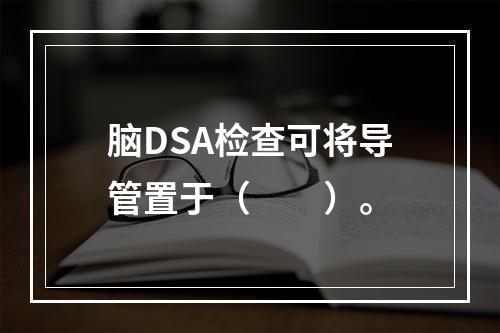 脑DSA检查可将导管置于（　　）。