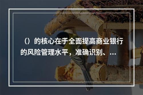 （）的核心在于全面提高商业银行的风险管理水平，准确识别、计量