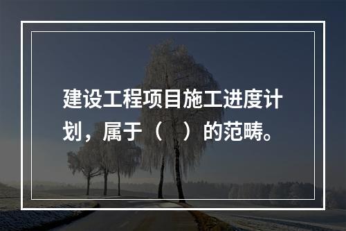 建设工程项目施工进度计划，属于（　）的范畴。