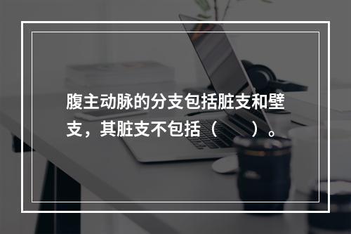 腹主动脉的分支包括脏支和壁支，其脏支不包括（　　）。