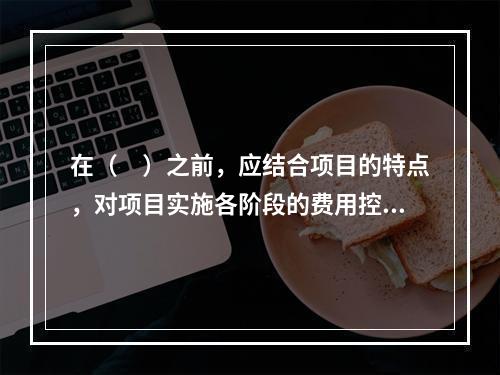 在（　）之前，应结合项目的特点，对项目实施各阶段的费用控制、