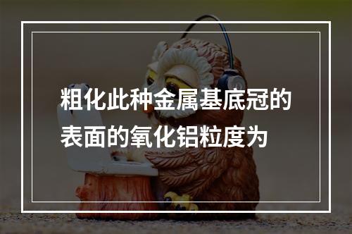 粗化此种金属基底冠的表面的氧化铝粒度为