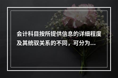 会计科目按所提供信息的详细程度及其统驭关系的不同，可分为（