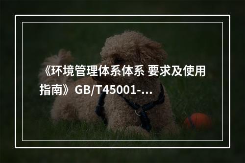 《环境管理体系体系 要求及使用指南》GB/T45001-20