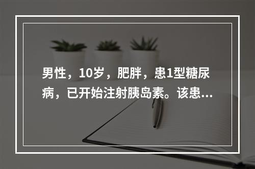 男性，10岁，肥胖，患1型糖尿病，已开始注射胰岛素。该患儿每