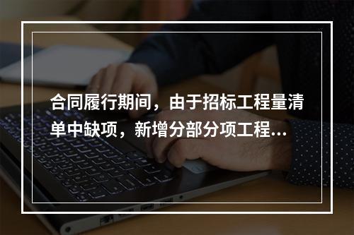 合同履行期间，由于招标工程量清单中缺项，新增分部分项工程清单