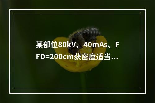 某部位80kV、40mAs、FFD=200cm获密度适当照片