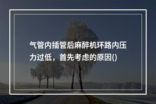 气管内插管后麻醉机环路内压力过低，首先考虑的原因()