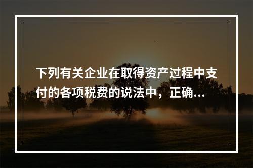 下列有关企业在取得资产过程中支付的各项税费的说法中，正确的有