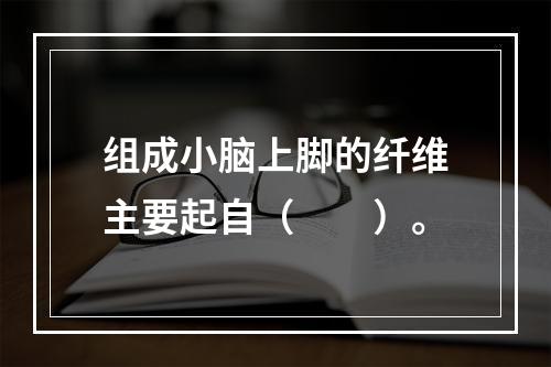 组成小脑上脚的纤维主要起自（　　）。