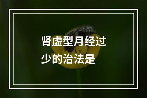 肾虚型月经过少的治法是