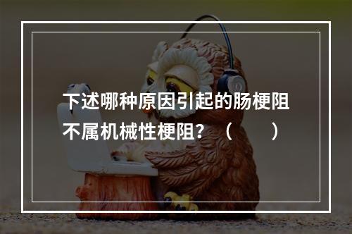 下述哪种原因引起的肠梗阻不属机械性梗阻？（　　）