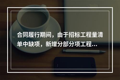 合同履行期间，由于招标工程量清单中缺项，新增分部分项工程清单