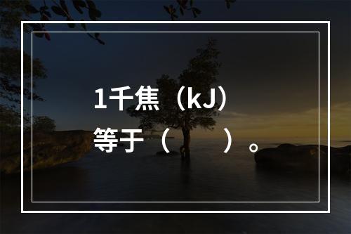 1千焦（kJ）等于（　　）。