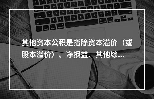 其他资本公积是指除资本溢价（或股本溢价）、净损益、其他综合收