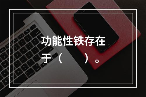 功能性铁存在于（　　）。