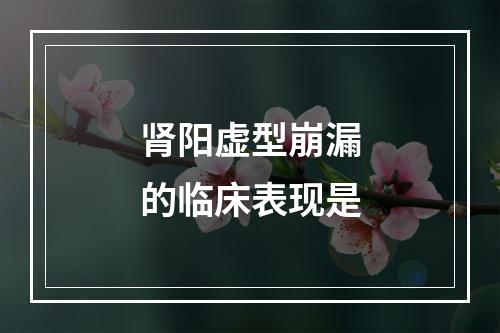 肾阳虚型崩漏的临床表现是