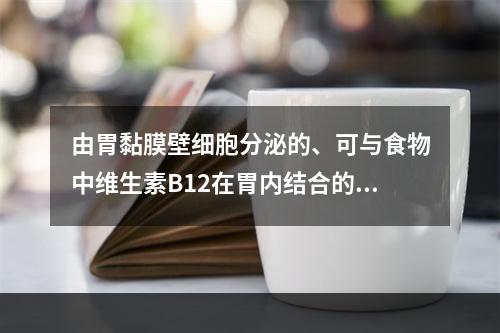 由胃黏膜壁细胞分泌的、可与食物中维生素B12在胃内结合的内