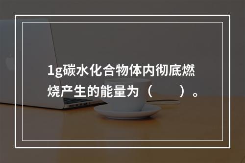 1g碳水化合物体内彻底燃烧产生的能量为（　　）。