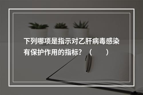 下列哪项是指示对乙肝病毒感染有保护作用的指标？（　　）