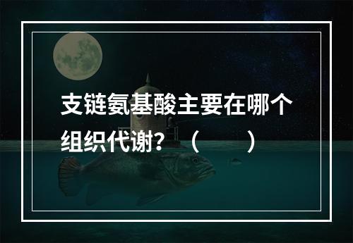 支链氨基酸主要在哪个组织代谢？（　　）