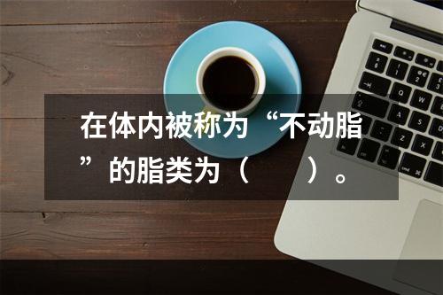 在体内被称为“不动脂”的脂类为（　　）。