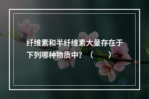 纤维素和半纤维素大量存在于下列哪种物质中？（　　）