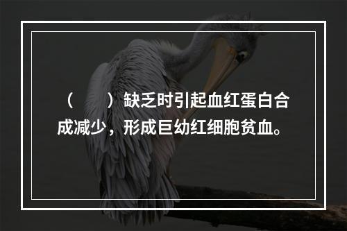 （　　）缺乏时引起血红蛋白合成减少，形成巨幼红细胞贫血。