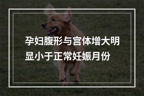 孕妇腹形与宫体增大明显小于正常妊娠月份