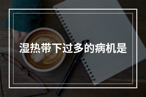 湿热带下过多的病机是