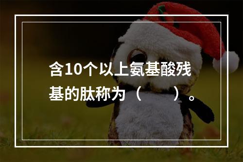 含10个以上氨基酸残基的肽称为（　　）。