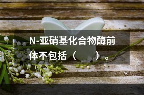 N-亚硝基化合物酶前体不包括（　　）。