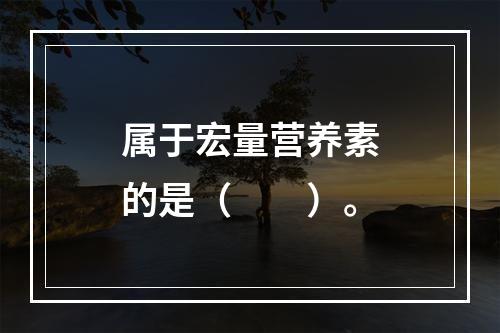 属于宏量营养素的是（　　）。