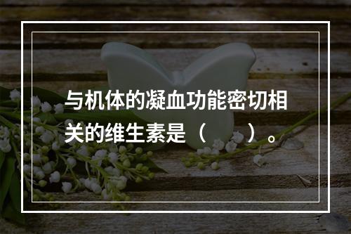 与机体的凝血功能密切相关的维生素是（　　）。