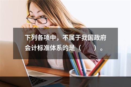 下列各项中，不属于我国政府会计标准体系的是（　　）。