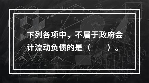 下列各项中，不属于政府会计流动负债的是（　　）。