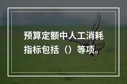 预算定额中人工消耗指标包括（）等项。