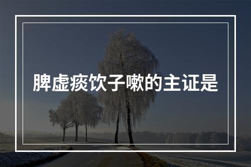 脾虚痰饮子嗽的主证是