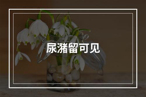 尿潴留可见