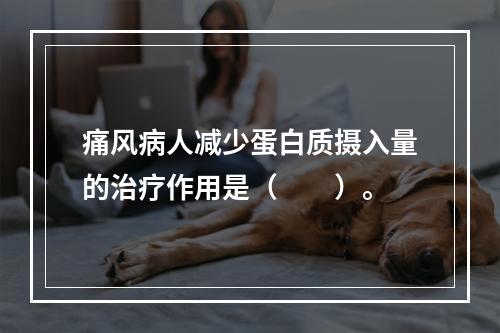 痛风病人减少蛋白质摄入量的治疗作用是（　　）。